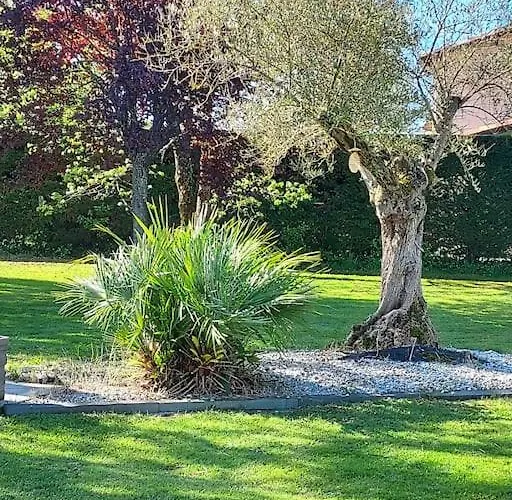 Villa Maison Aux Portes De Montauban *